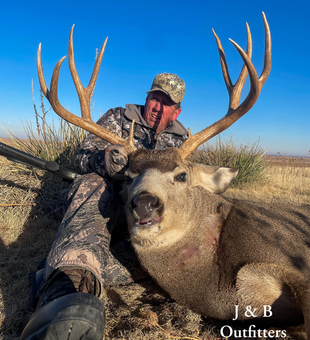 Hunt Colorado Finest Deers